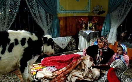 تصاویر جدید و دیدنی از سریال پر مخاطب پایتخت 3