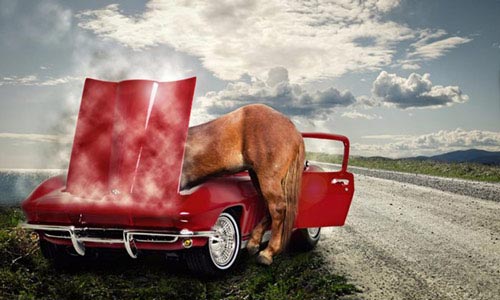 عکس های بسیار جالب و فانتزی