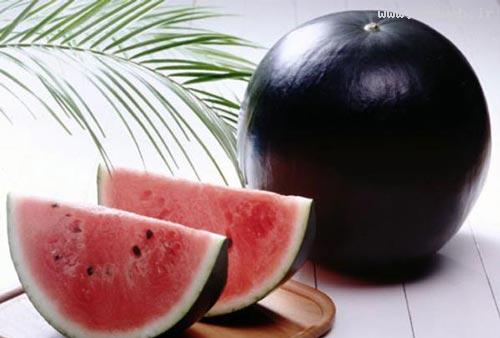 لوکس تری میوه های جهان را بشناسید + تصویر