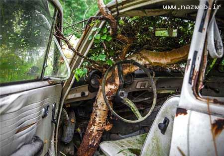 قبرستان جلبک گرفته ماشین های قدیمی در سوئد!!