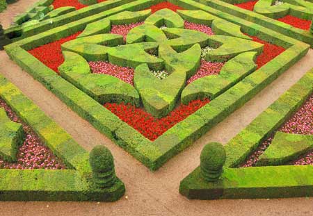 تا حالا باغی به این زیبایی و رویایی دیده بودید