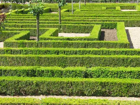 تا حالا باغی به این زیبایی و رویایی دیده بودید