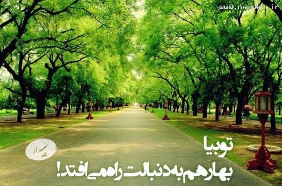 نمایش احساسات با عکس های زیبا