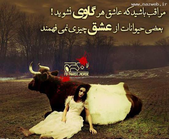 نمایش احساسات با عکس های زیبا