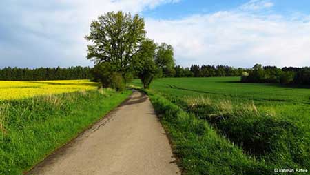 عکس های دیدنی روز (5)