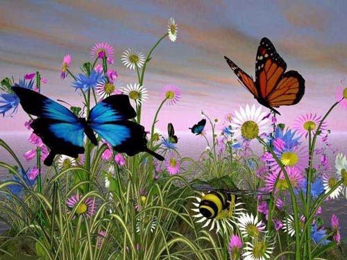 عکس های بسیار زیبا و آرامش بخش (حتما ببینید)