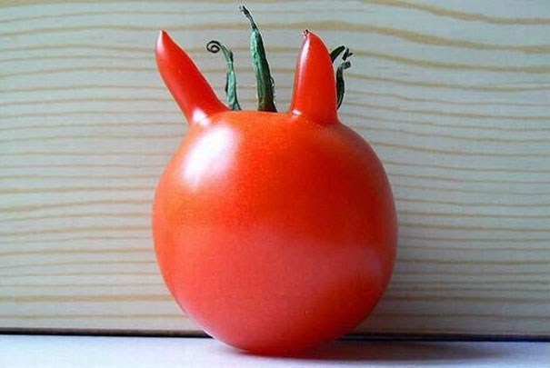 میوه و سبزیجات به شکل های عجیب و غریب!