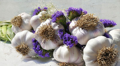مدل های تزیین سیر برای سفره هفت سین