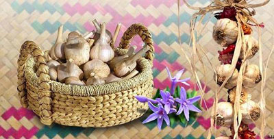 مدل های تزیین سیر برای سفره هفت سین