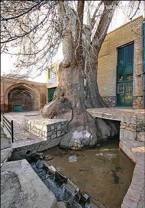 تصاویری زیبا از مسجد جامع شش ناو استان مرکزی
