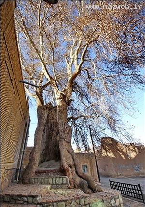 تصاویری زیبا از مسجد جامع شش ناو استان مرکزی