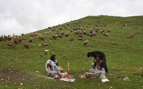 جسدی که خوراک کرکس ها شد! +(تصاویر)