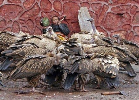 عجیب ترین مراسم دلخراش تدفین در دنیا +(تصاویر)