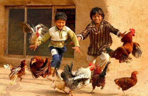 آن چه در زندگی کم داریم .... (کوتاه و جالب)