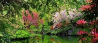 تصاویری از زیباترین باغ های دنیا