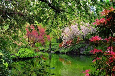 تصاویری از زیباترین باغ های دنیا
