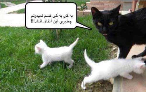 عکس نوشته های طنز و خنده دار (4)
