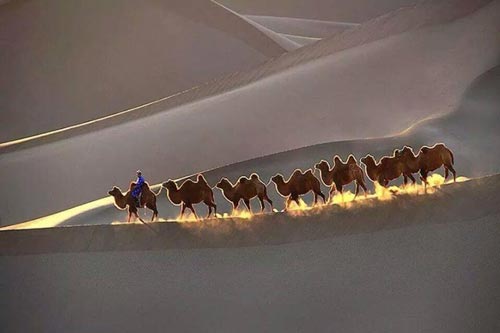عکسی نادر و زیبا از صحرای مغولستان