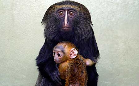 عکس های دیدنی و جذاب روز (7)
