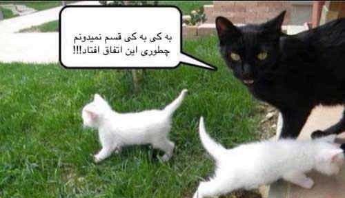 عکس نوشته های طنز و خنده دار (5)