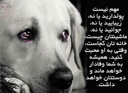  جملات الهام بخش و زیبا برای زندگی (1) 