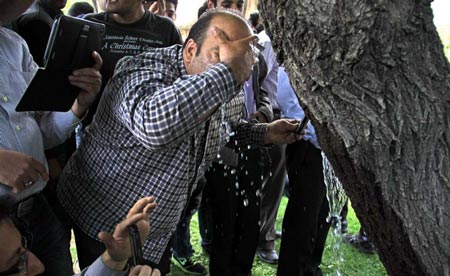معجزه جوشیدن آب از دل د رخت در همدان (تصاویر)