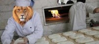 عکس نوشته های طنز و خنده دار (7)