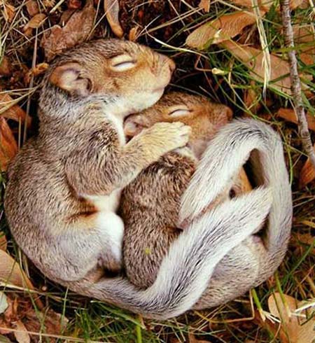 عکس های دیدنی و بسیار جالب روز (10) 