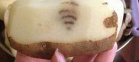 عکس نوشته های طنز و خنده دار ( 8 )