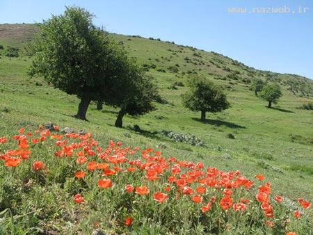 دیدنی های چند هزار ساله شهر سمنان + تصاویر