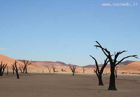 عکس های دیدنی و بسیار جالب روز (14)