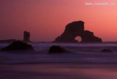 عکس های دیدنی و بسیار جالب روز (14)