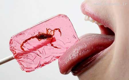 عکس های دیدنی و بسیار جالب روز (15)