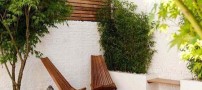 زیباسازی حیاط خلوت در روزهای بهار+ تصاویر