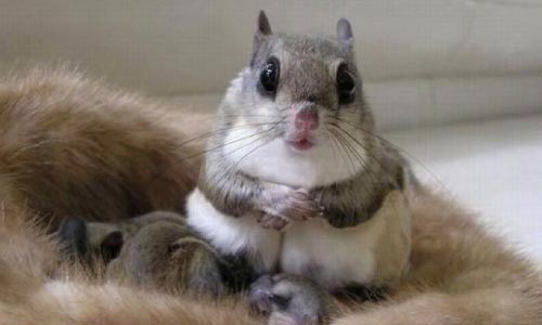 عکس نوشته های طنز و خنده دار (سری جدید)