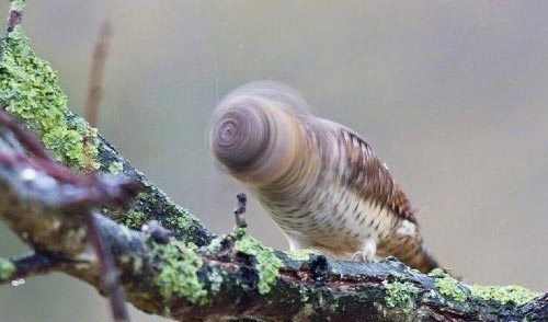عکس نوشته های طنز و خنده دار (سری جدید)