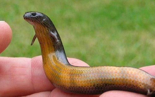 عکس نوشته های طنز و خنده دار (سری جدید)