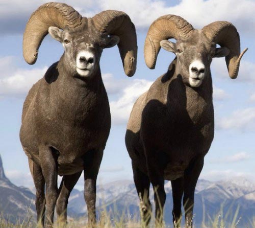 عکس نوشته های طنز و خنده دار (سری جدید)