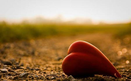 تصاویر متنوع و بسیار زیبای عاشقانه و رمانتیک