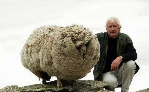 عکس های خنده دار از سوژهای داغ جهانی (2)