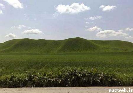 رنگین کمانی در گلستان ! + (عکس) 