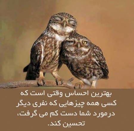 جملات الهام بخش و زیبای زندگی (6)