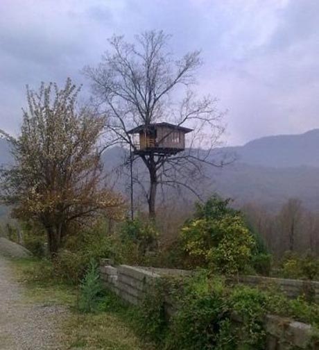خانه جالب و زیبای یک خواننده ایرانی در شمال +(عکس)