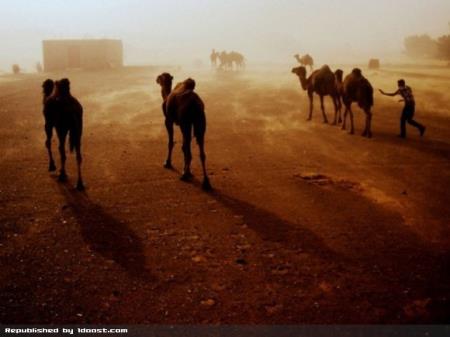 عکس های تکان دهنده از مهم ترین فجایع طبیعی دنیا
