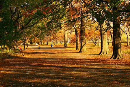 عکس های دیدنی و جذاب (32)