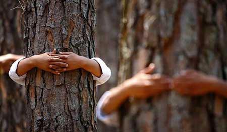 عکس های دیدنی و جذاب (32)