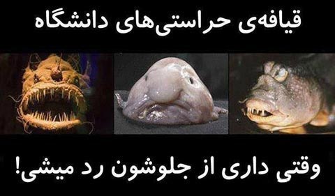 عکس های خنده دار و سوژه های داغ ایرانی (1)