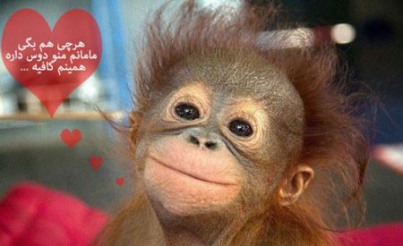 سوژه های طنز و بسیار خنده دار خارجی (1)