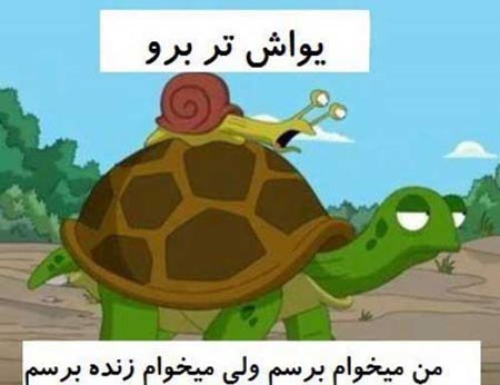سوژه های طنز و بسیار خنده دار خارجی (1)