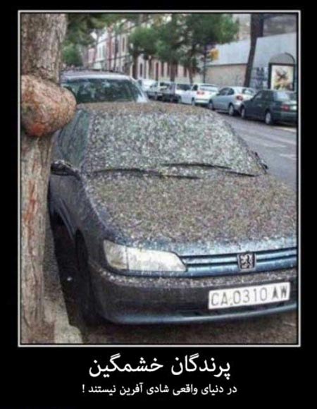 سوژه های طنز و بسیار خنده دار خارجی (1)